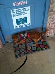 !cid_1432FE6C-21F0-4C0D-B052-F08511B1C0F5