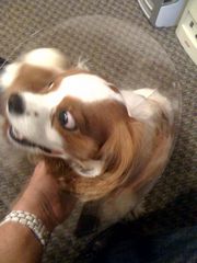 !cid_15F73FB5-6B66-42AA-8344-33F313A07242