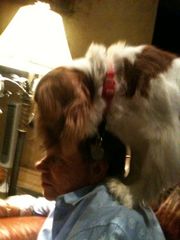 !cid_A7E7D29E-405B-443A-8596-89D9C5112354