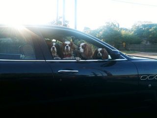 !cid_E8966EBF-4A9C-48A7-9CEE-4FA193246F18