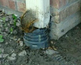 2010-10-31 12.00.46-1