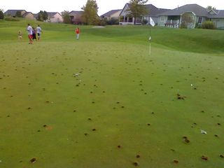 !cid_B8EA34F8EB0C4C14AD01A4A75871AACF@northclone