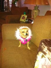 mj quintanilla 111510