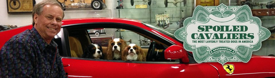 The richest, most spoiled and outrageously treated dogs in America